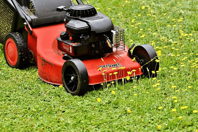 lawn mower, mow, cut the lawn