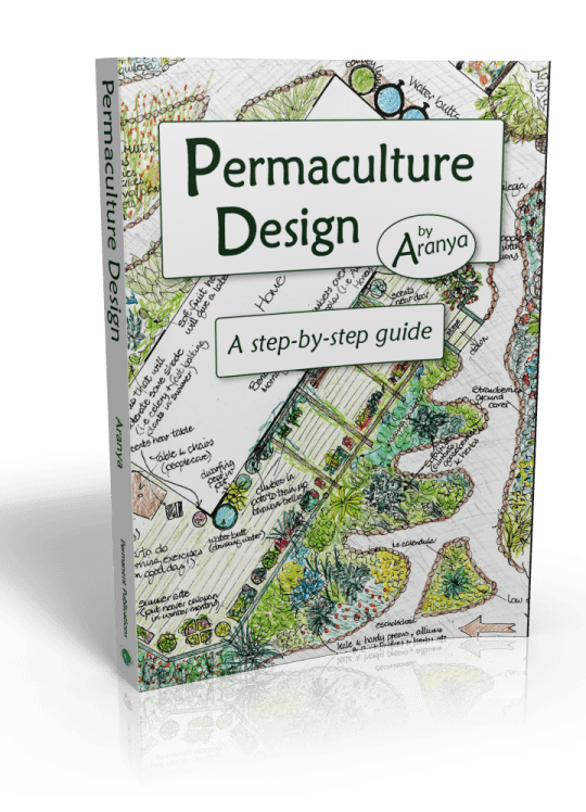 Permaculture Design: A Step-by-Step Guide