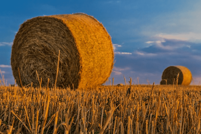 bale, straw, agriculture