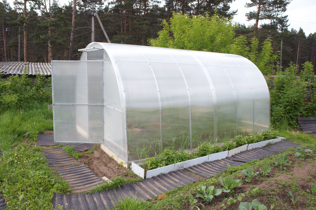 small greenhouse