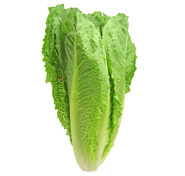 lettuce, romaine, greens