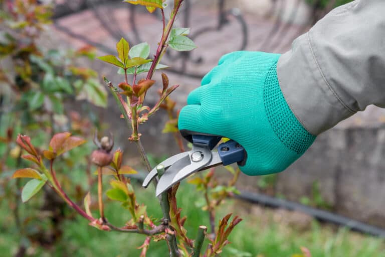 The 5 best gardening sleeves in 2023